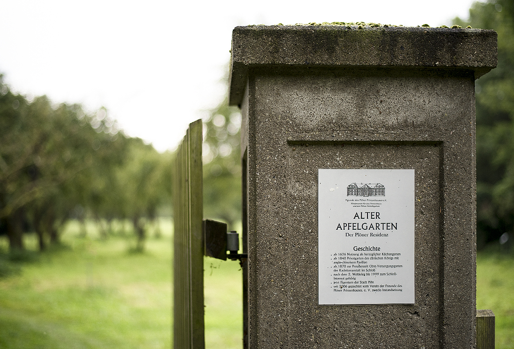 Schleswig Holstein Ostsee 09_2015 KA7_6518 als Smartobjekt-1 Kopie.jpg - Beim Spaziergang entdecken wir diesen alten Apfelgarten